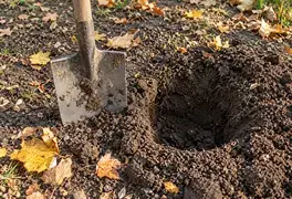 Сезон